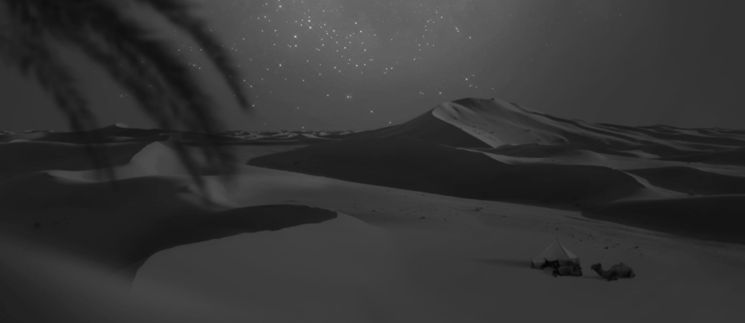 Soft-lit Sahara panorama used as the site header