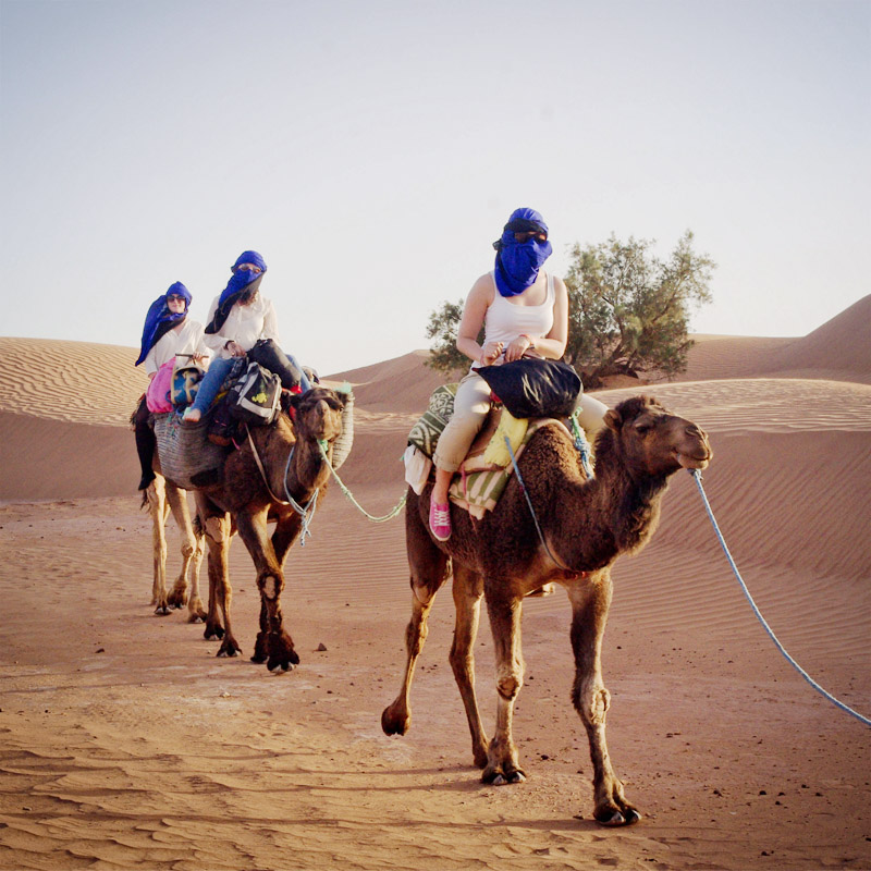 Camel caravan crossing the dunes