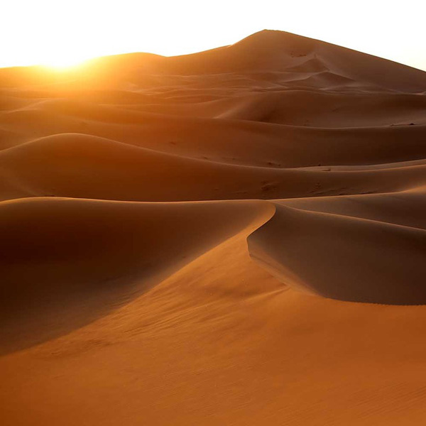 Sunlit dune ridge