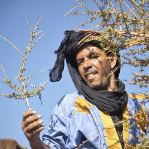 Naji, tour guide